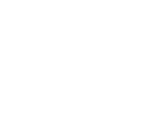 Logo Scout Ticino